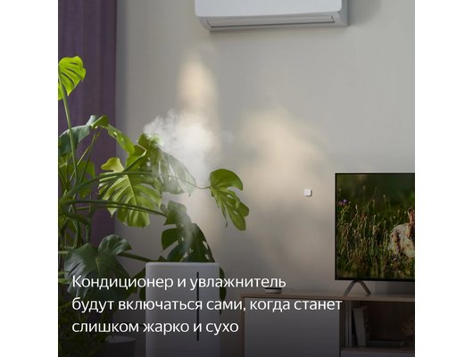 Датчик температуры Яндекс датчик температуры и влажности YNDX-00523